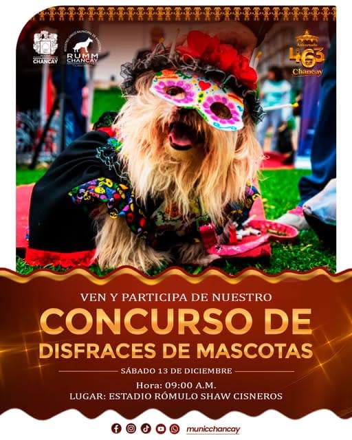 Prepárense para el gran concurso de disfraces para mascotas en el 463° aniversario de Chancay